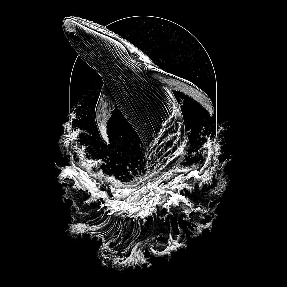 " WHALE "
